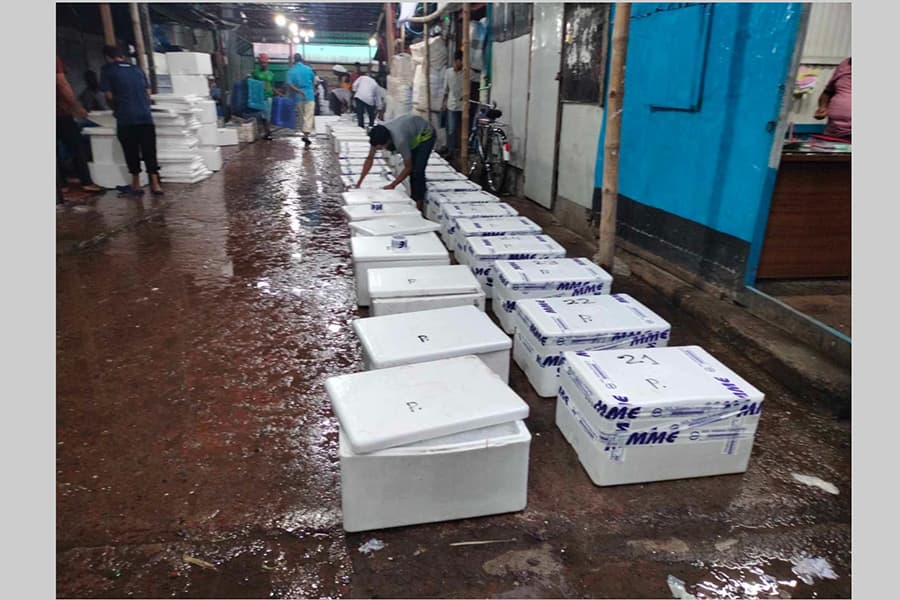 First consignment of 19 tonnes of Hilsa leaves Barishal for India ahead of Durga Puja
