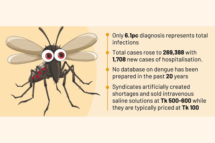 Fragile health care fails to address dengue crisis: TIB