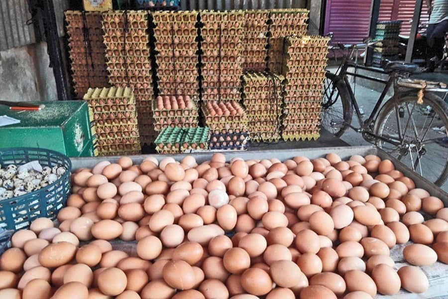 Egg import held back by 33pc duty