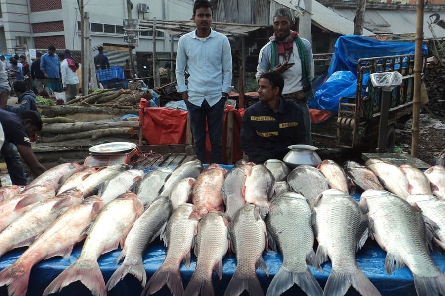 Nobanno Fish Fair: A festive Bengali tradition