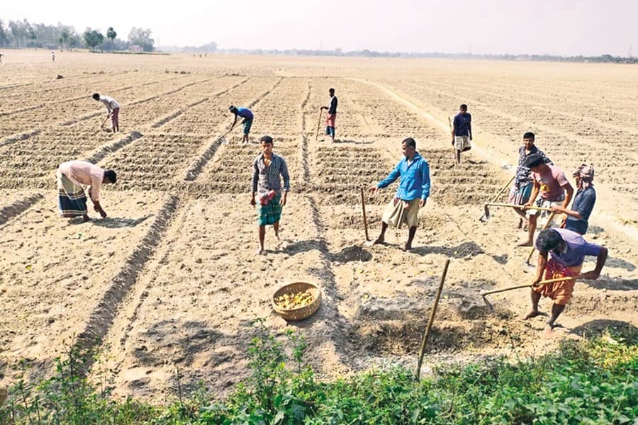 Future of agri-tech in Bangladesh