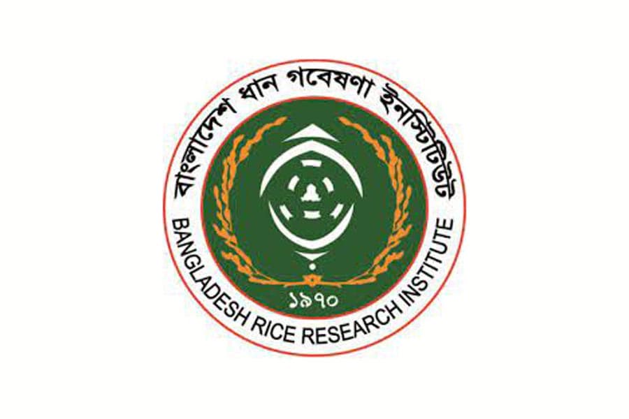 63 rice verities invented in 14 years