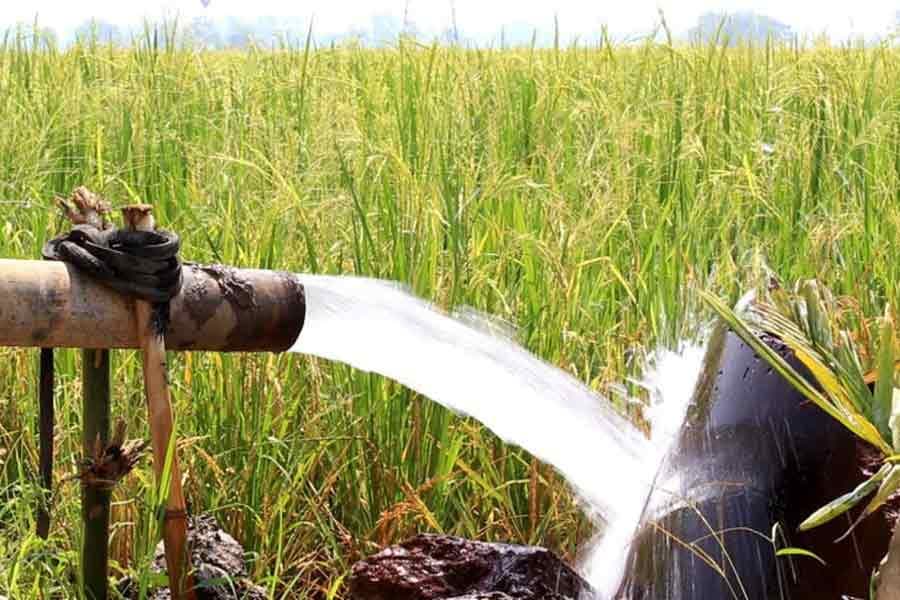 Irrigation season: Power demand projected at 17,800MW