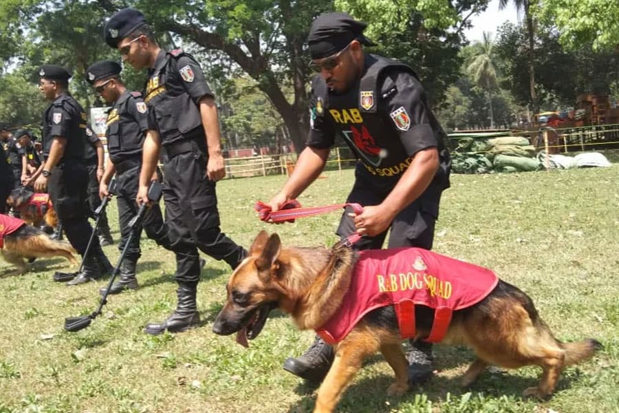 BGB deploys dog squad in capital centering 31st night, national election