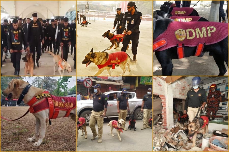 আইনশৃঙ্খলা রক্ষার অতন্দ্র প্রহরী ‘ডগ স্কোয়াড'