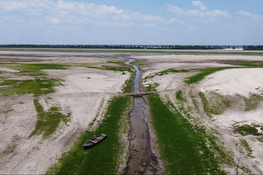 Amazon rainforest drought going unnoticed