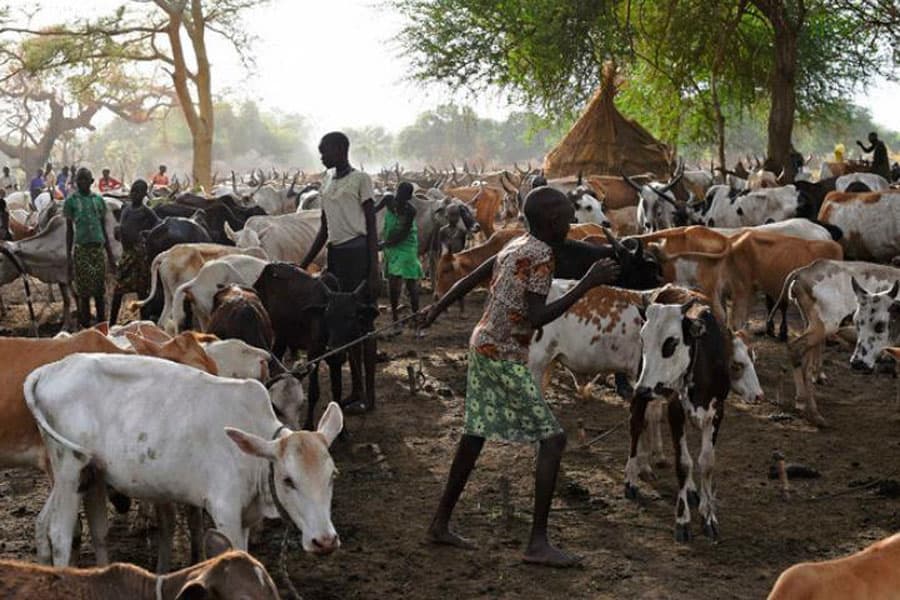 38 killed in communal clashes in South Sudan