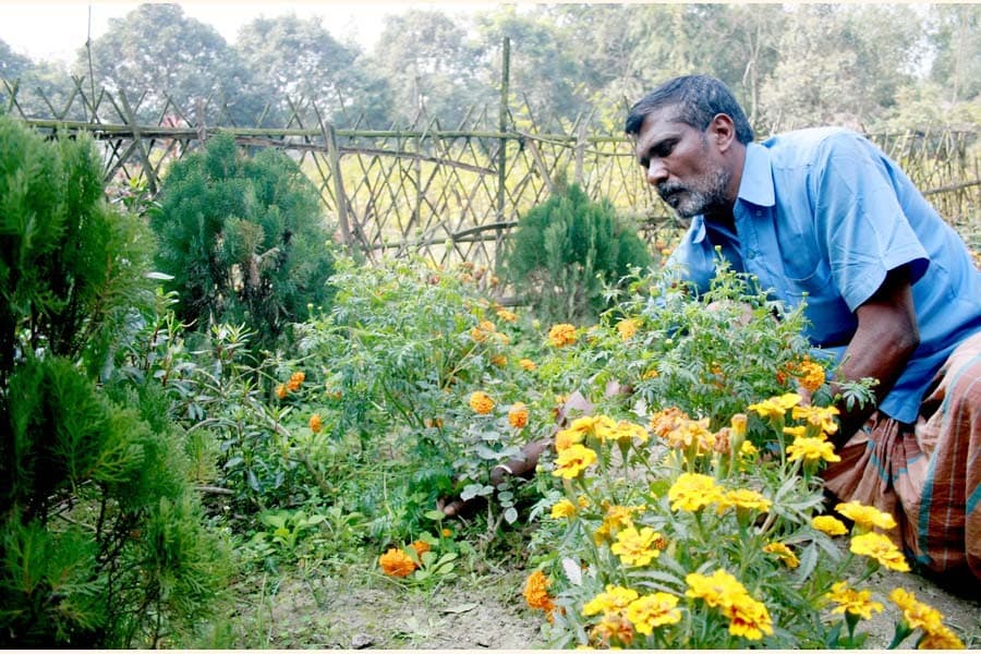 Florists expect to turn over Tk 1b in north