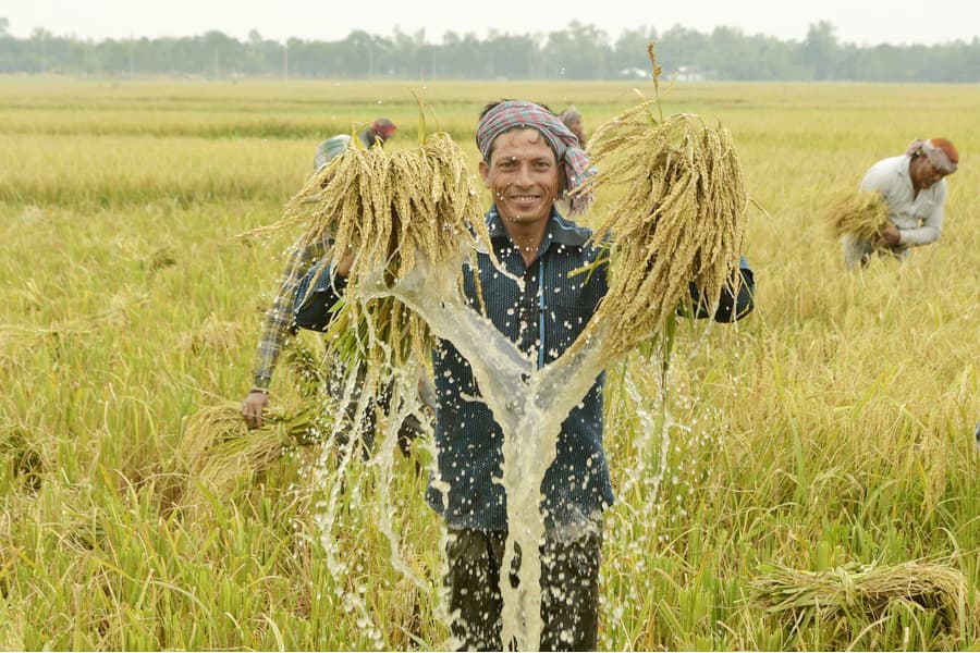 Our agricultural heritage