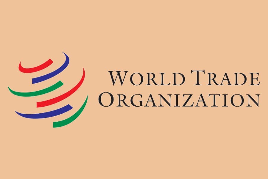 Plurilateral deal on investment facilitation faces opposition