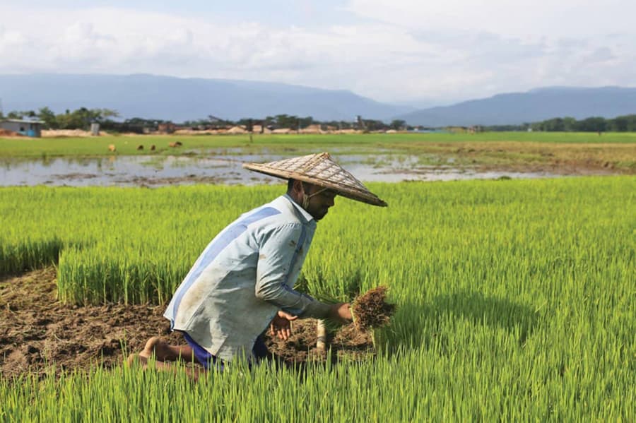 Agricultural microinsurance: Need of the time