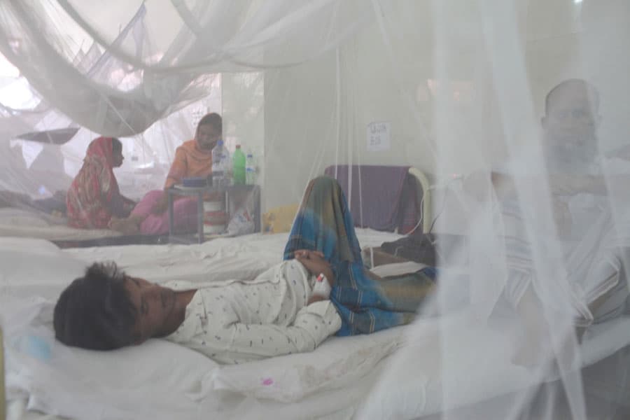 20 more dengue patients hospitalised in 24 hours