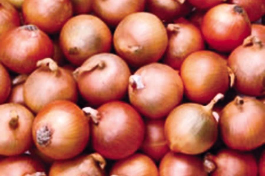 Domestic onion glut sinks prices, curbs India imports