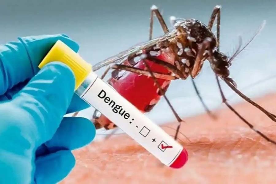 Dengue claims another life in Bangladesh, taking toll this year to 22