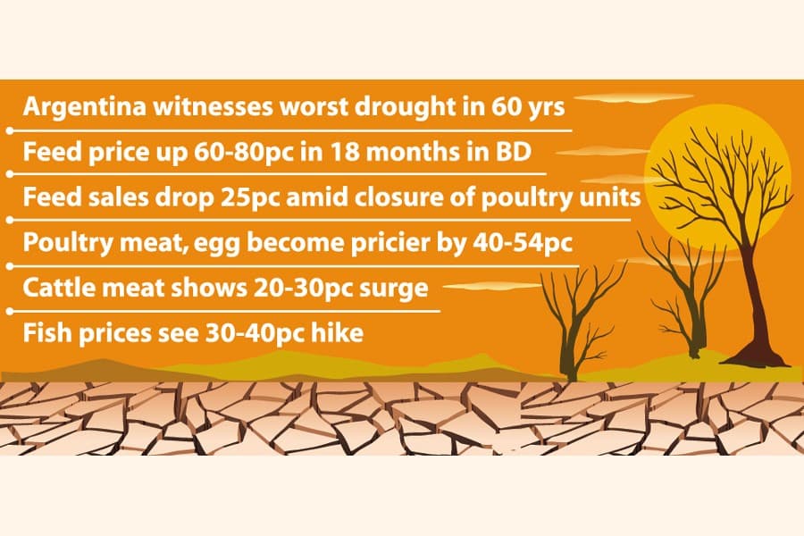Latin drought: Alarm bell rings for feed industry in Bangladesh