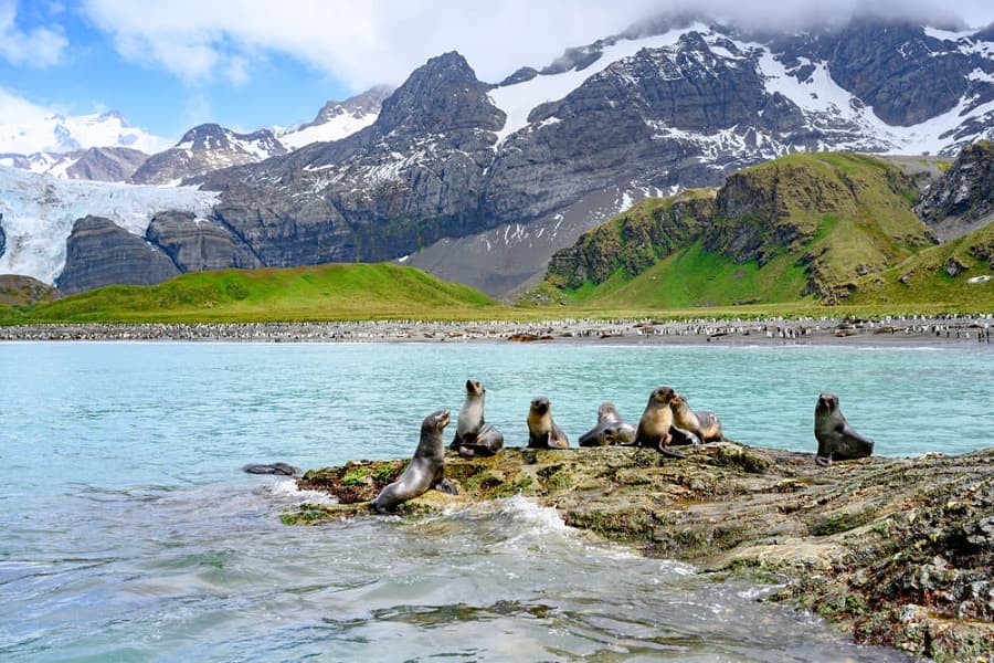 An isolated world beauty: Away from life by 1,400km