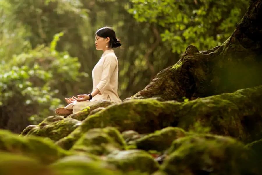Why is Forest bathing helpful for mental health?