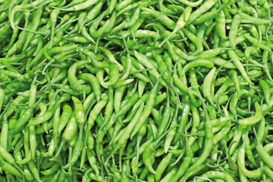 Green chilli hits Tk 240 a kg