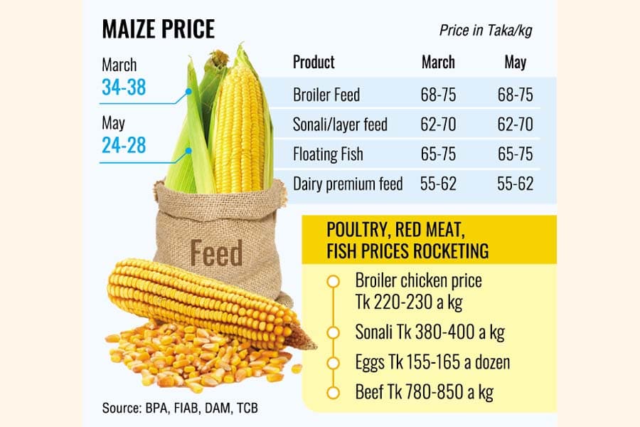 Feed prices remain high despite record maize harvest, low rates