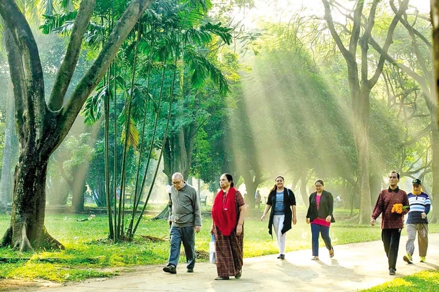Health benefits of regular walking habit