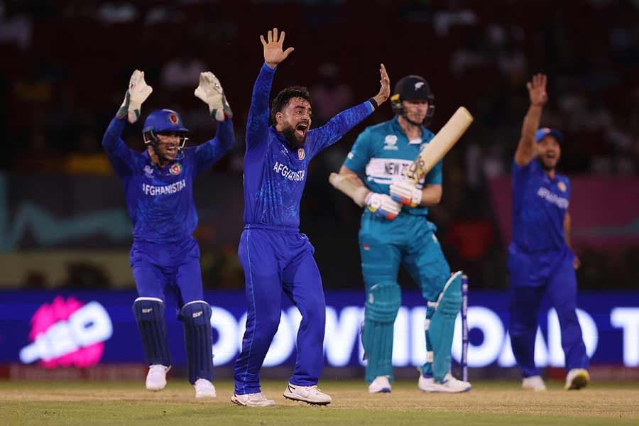 Afghanistan crush New Zealand by 84 runs in T20 World Cup