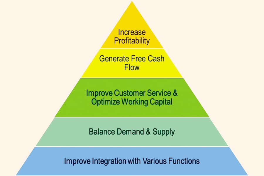 Anticipate, plan, sustain and prosper with S&OP