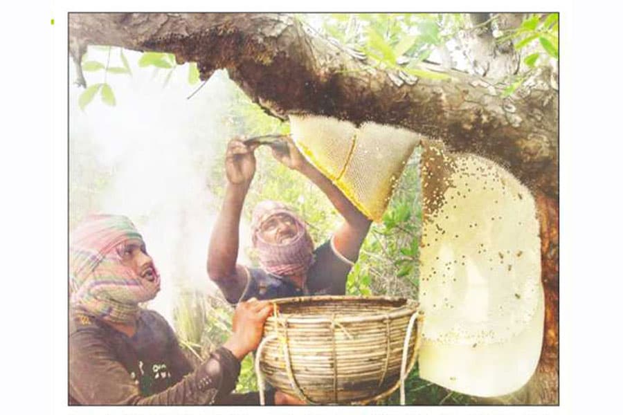It is time to explore the shared GI framework with India