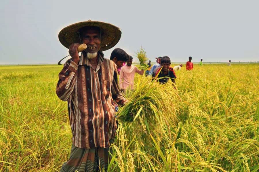Supporting small farmers to ensure nation's food security