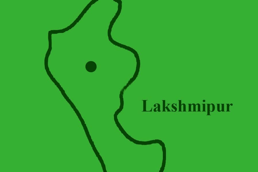Man, granddaughter killed in Lakshmipur road crash