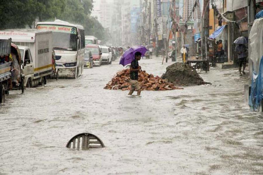 Polybags, waterlogging and indifference