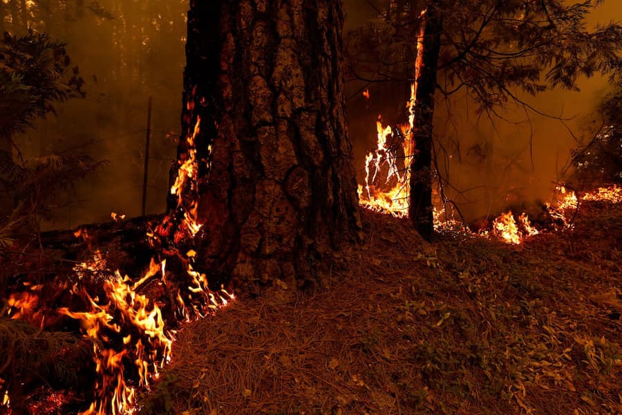 California wildfire explodes, becomes largest in US