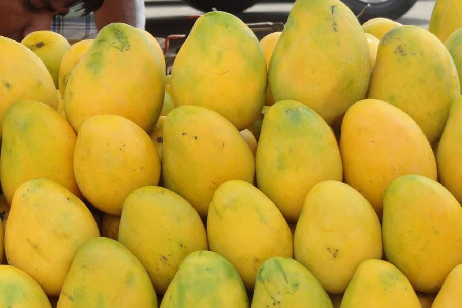 Mango export to China: BD should grab the opportunity
