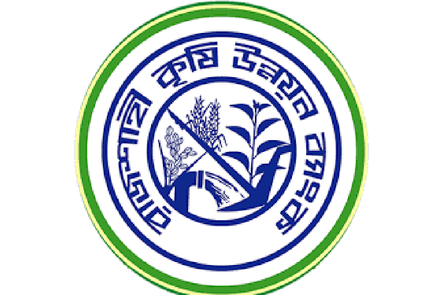 BB's loan to RAKUB: Govt extends guarantee by one year