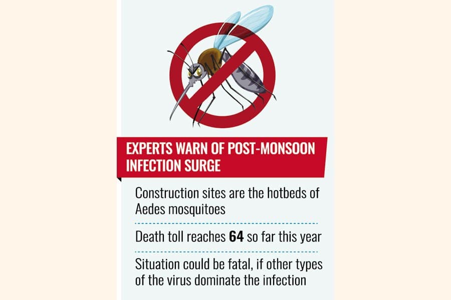 Political turmoil complicates fight against dengue