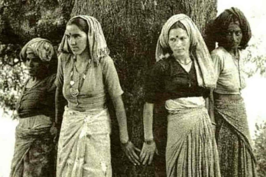 How the Chipko movement sparked an environmental revolution