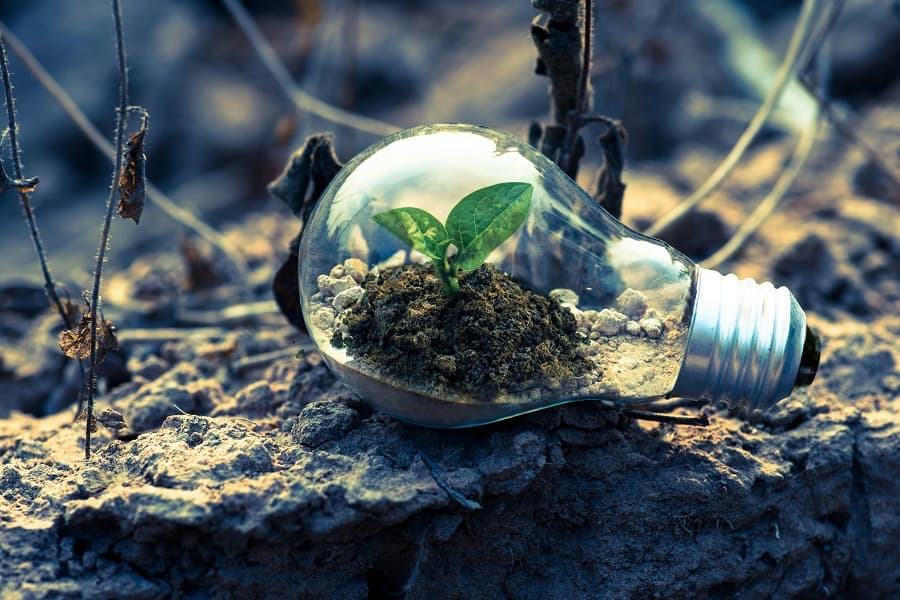 Green Economy: How I met your mother earth (Part 1)