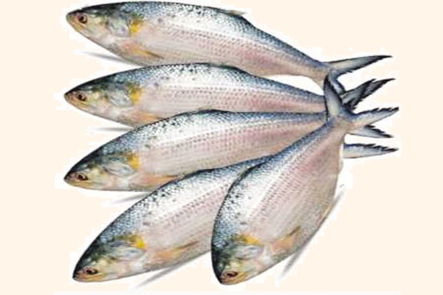 Govt to restrict meat import to protect local farmers