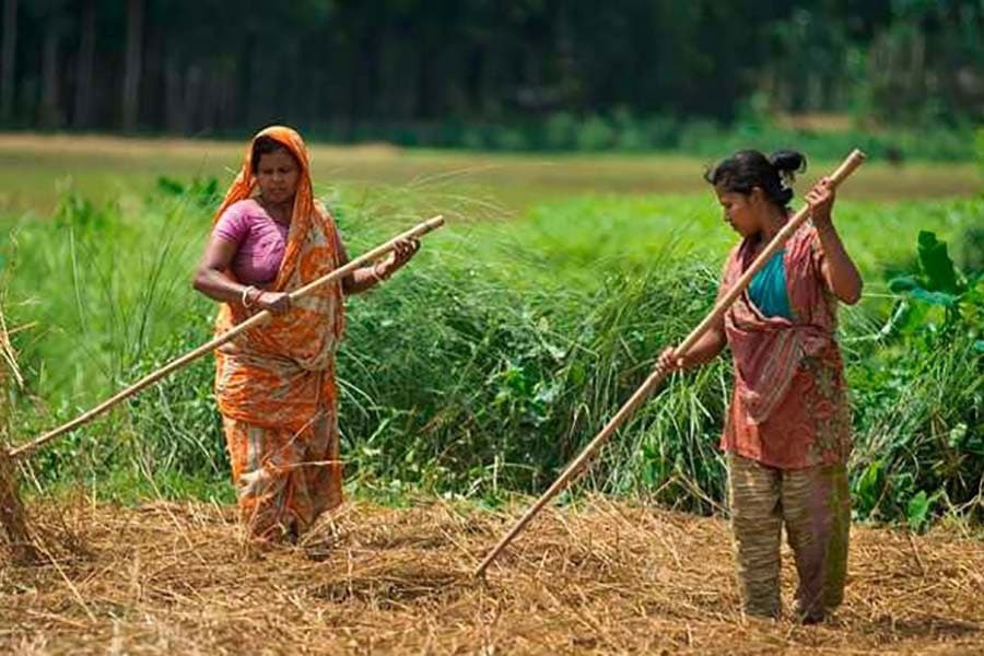 Women in agriculture: Breaking barriers, shaping futures