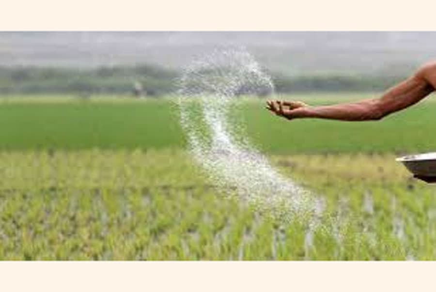 Enough fertilizer in stock to last till December: Agriculture Secretary