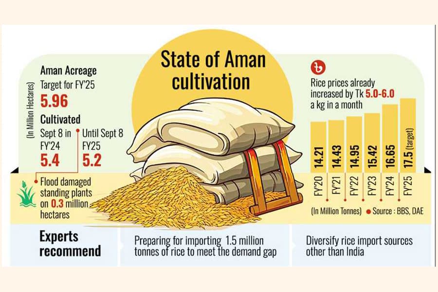 Food security at stake as standing Aman plants washed away
