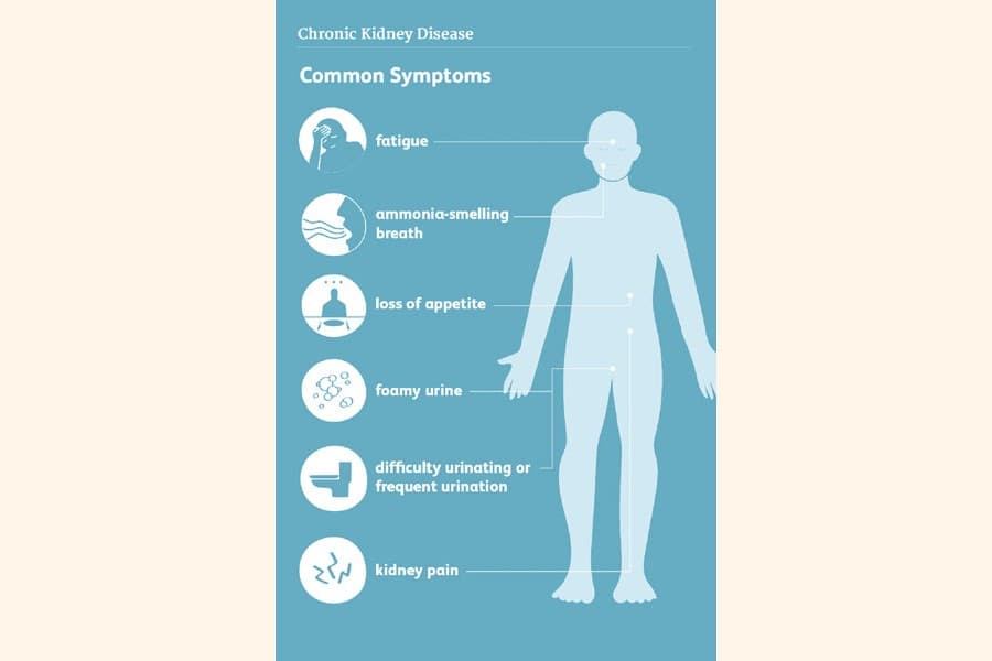 Recognising early signs of kidney disease