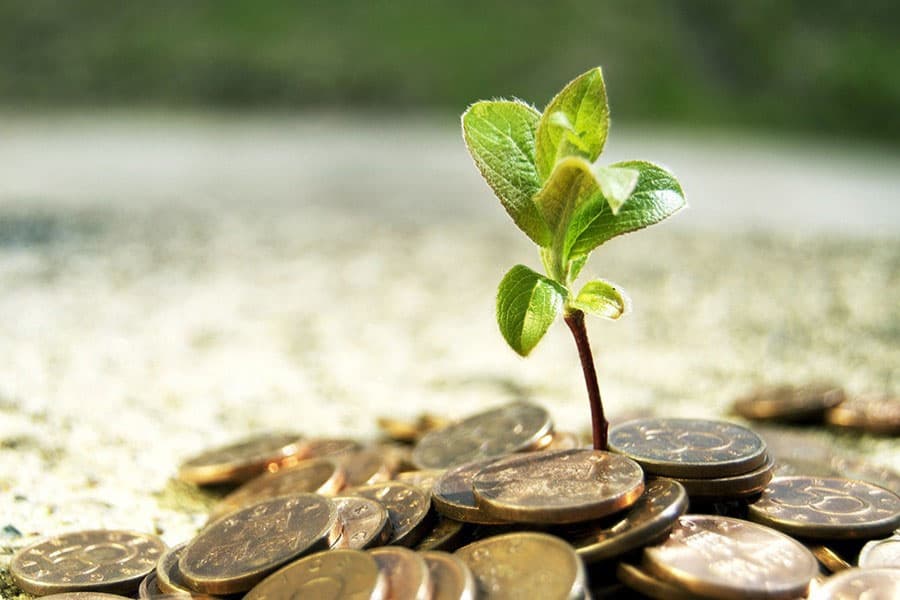 Climate change and green consumers in Bangladesh
