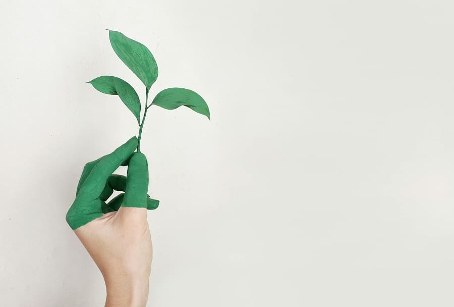 Green fiscal policy: Breaking bad habits and carbon footprints