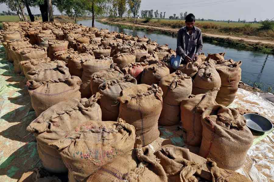 India lifts ban on non-basmati white rice exports; halves export duty on parboiled rice