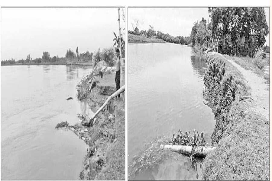 Teesta riverbank erosion takes serious turn