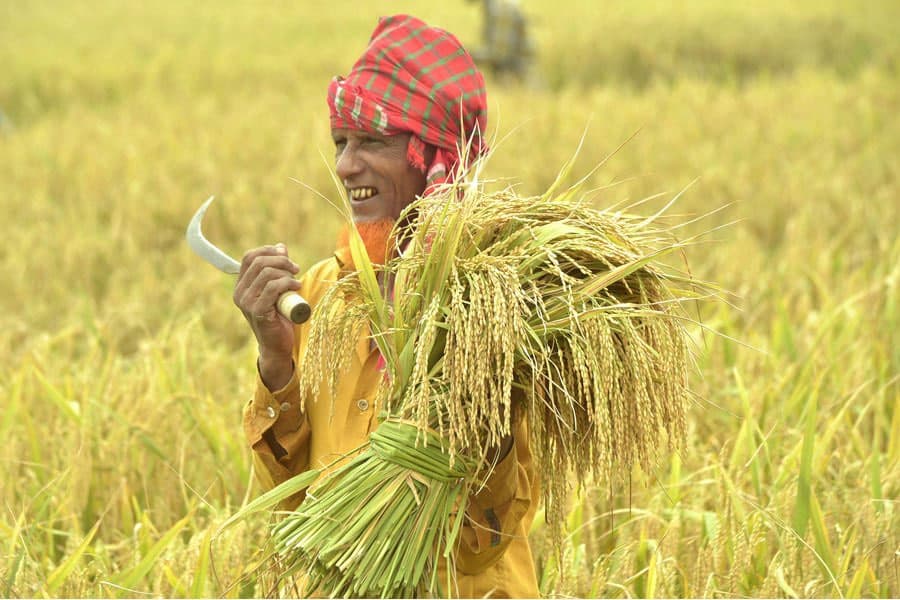Averting a potential threat to agriculture
