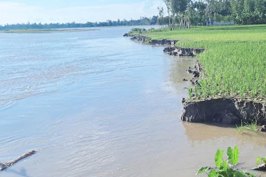 Flood situation improves in Kurigram, residents fear erosion