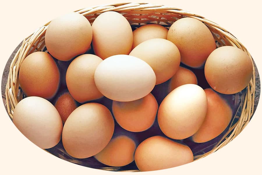 Egg import feared to harm poultry sector