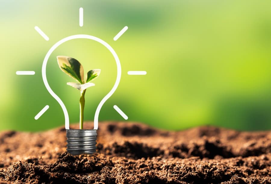 Green Fiscal Policy: Positive or negative?
