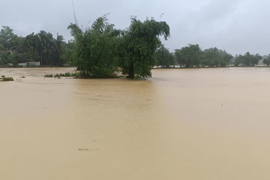 Flooding spreads to five Sherpur Upazilas, heavy damage to crops, fish farms